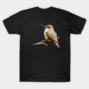 Rufous Hummingbird in the California Lilac T-Shirt